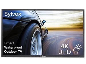 SYLVOX 65 Inch Outdoor TV