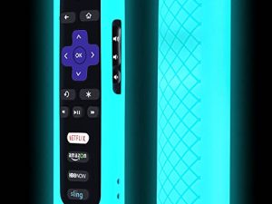 Remote Case for Roku