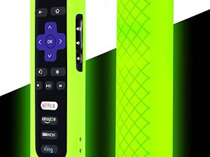 Remote Case for Roku