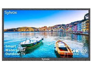 SYLVOX 65-Inch Outdoor TV
