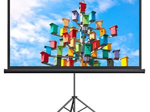 Projector Screen with Stand