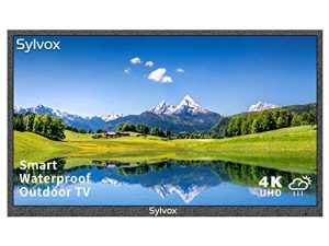 SYLVOX 55-Inch Outdoor TV
